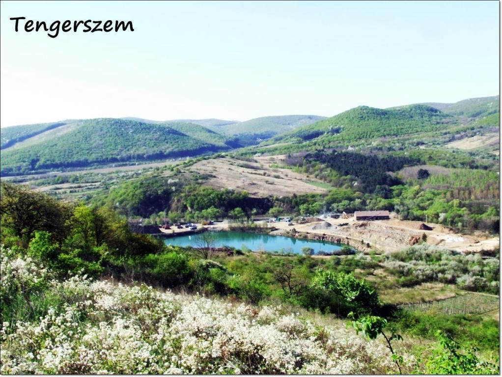 Benyei Fogado Panzio Es Etterem Bed and Breakfast Erdőbénye Eksteriør billede